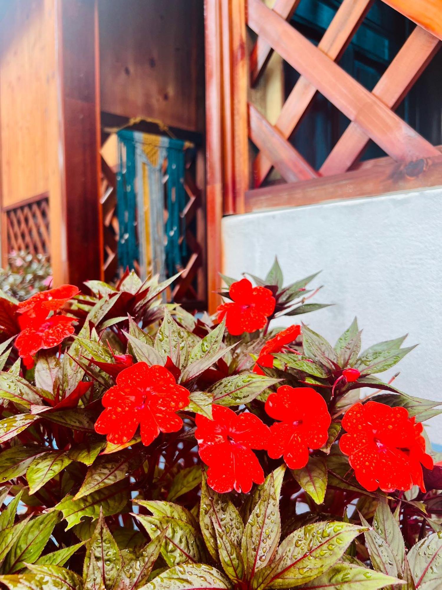Vietnam Phuot Real Home Kon Tum Номер фото